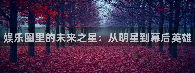 韦德1946娱乐手机版