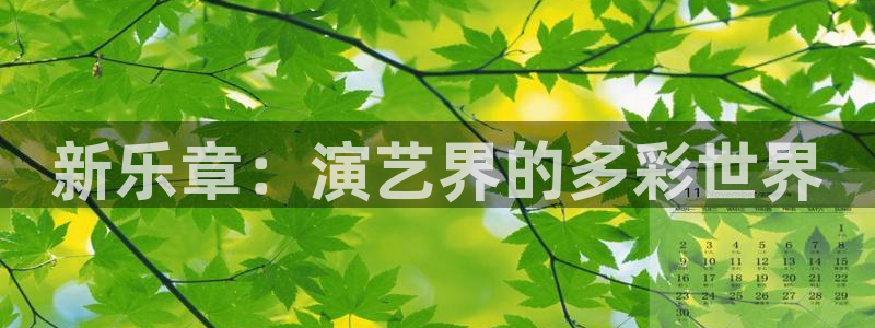 韦德1946娱乐手机版