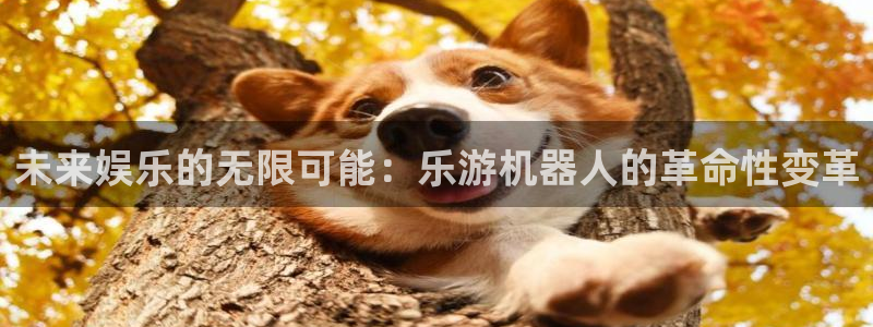 韦德1946官网