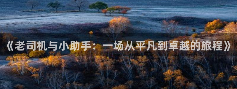 韦德1946安卓二维码