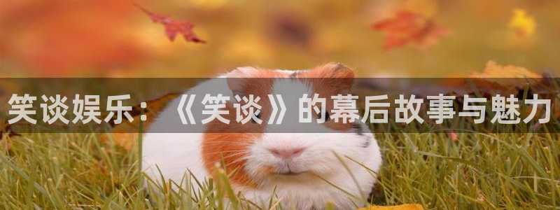 韦德1946网址